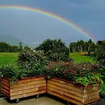 Ferienhaus Orheimstunet - Gardsferie For Storfamilien Der Ogsa Hunden Er Velkommen