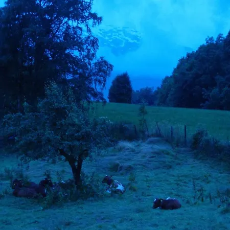 Orheimstunet - Gardsferie For Storfamilien Der Ogsa Hunden Er Velkommen Tatil Evi *
