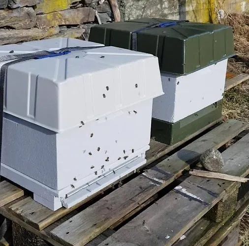 Holiday home Orheimstunet - Gardsferie For Storfamilien Der Ogsa Hunden Er Velkommen Starheim