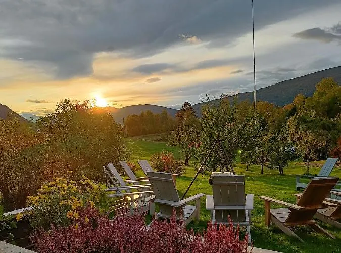 Orheimstunet - Gardsferie For Storfamilien Der Ogsa Hunden Er Velkommen